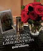 Liberation_Listening_Party_-_June_1_08.jpg
