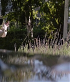 Screen_Captures27.jpg