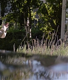Screen_Captures40.jpg