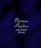 midnight_bloom_28129.jpg